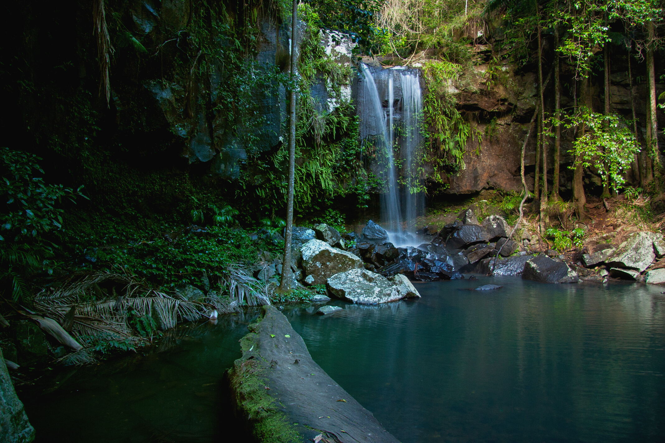 Waterfall and pond in jungle